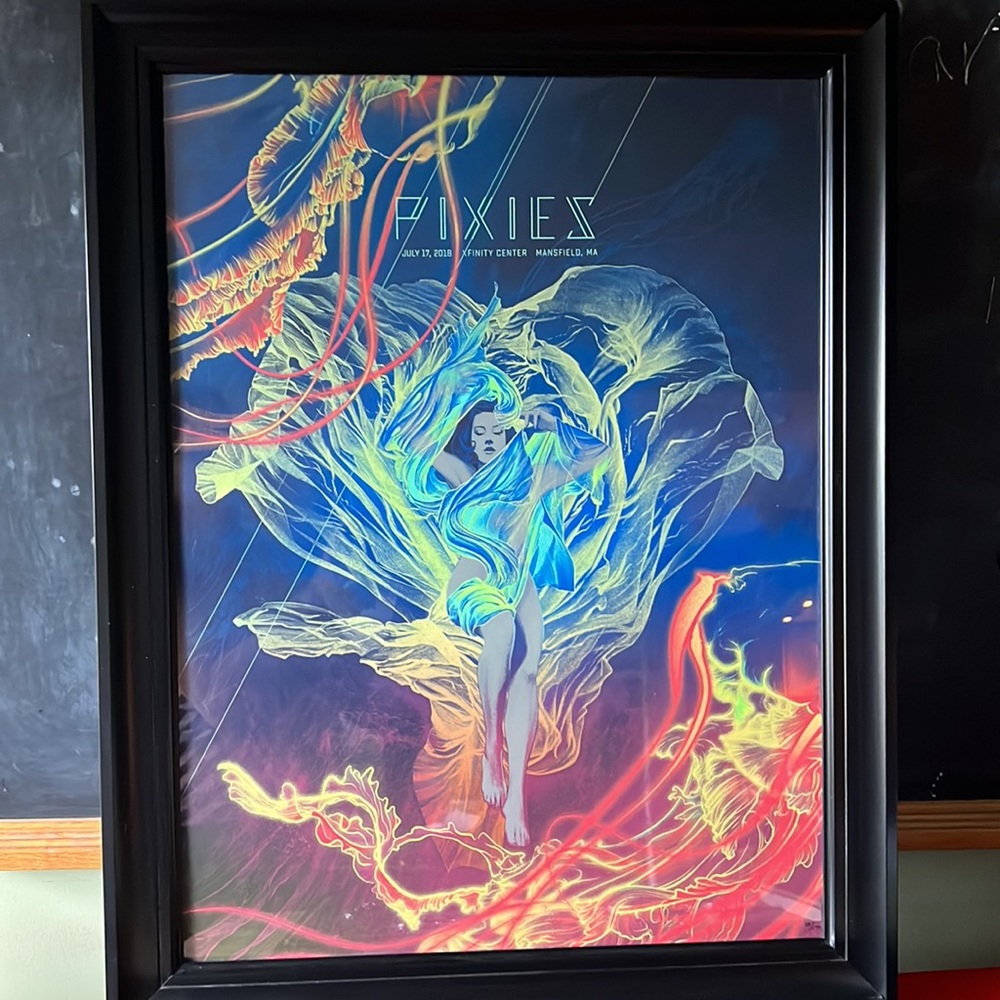 2018 Pixies Poster
